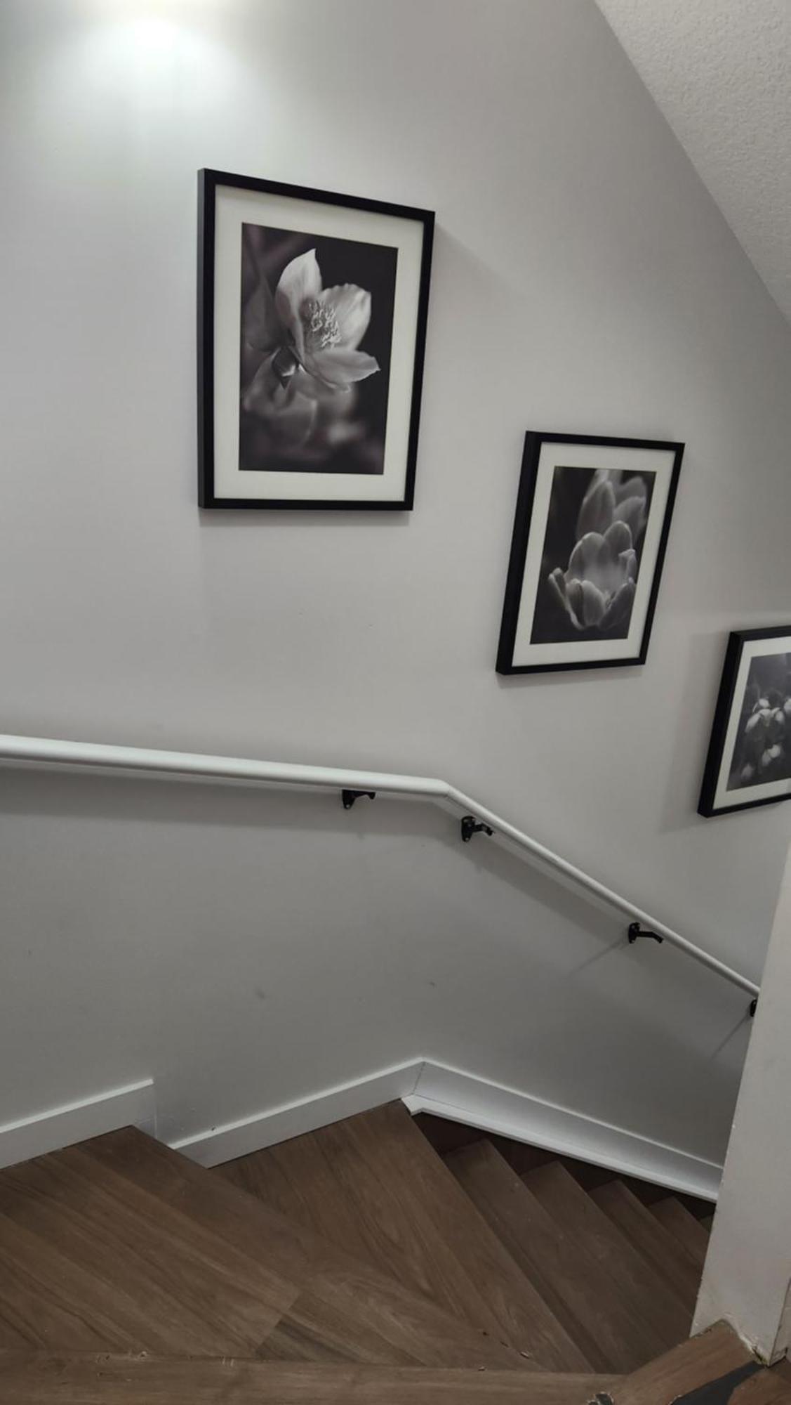 Modern 2 Bedroom Basement Suite At West Edmonton Ngoại thất bức ảnh