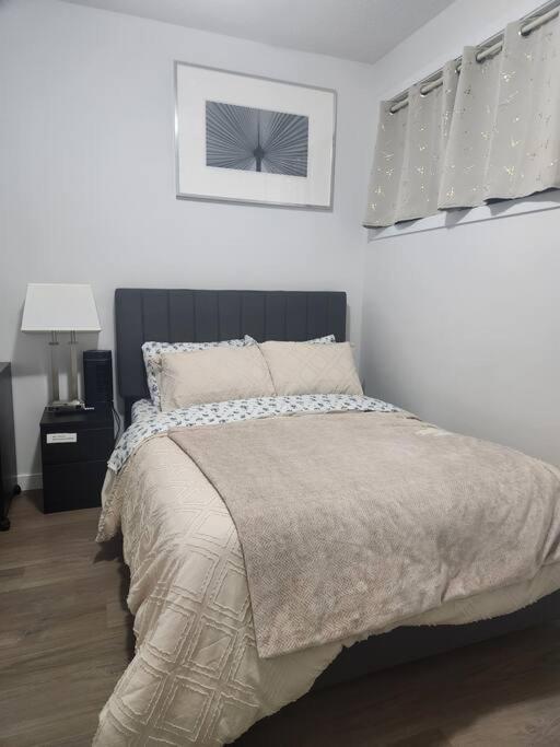 Modern 2 Bedroom Basement Suite At West Edmonton Ngoại thất bức ảnh